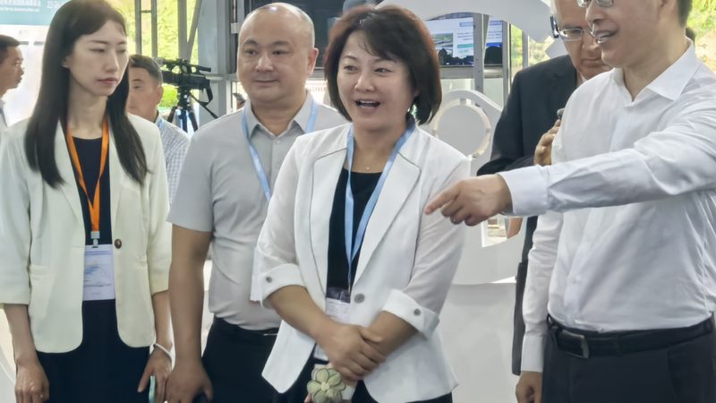 汽车配件直销批发，如何精准选择性价比之选？**